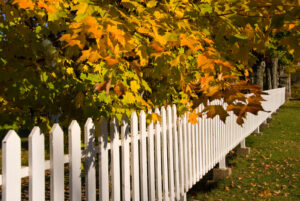 Privacy fencing