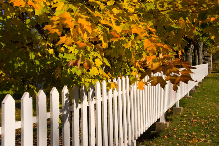 Privacy fencing